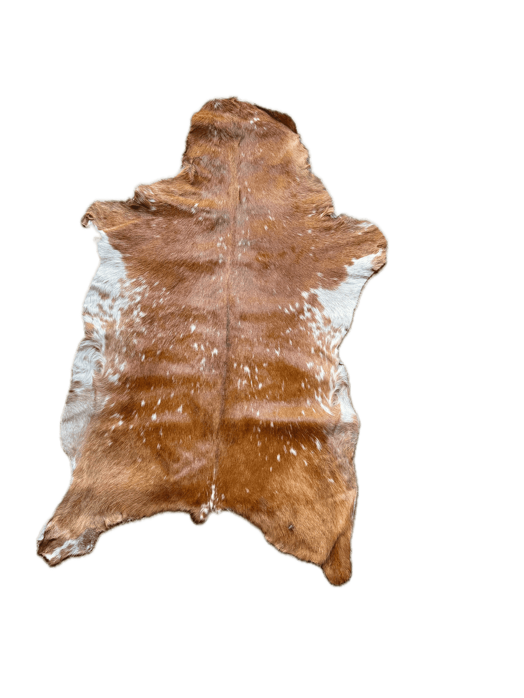 Goatskin Fur Pelt Hide 6-8 ft, showing whole white long-hair pelt