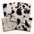 Black & White Hair-On Cowhide Sheets 12x12 Pack of 5, showing 5-pack flat lay assortment