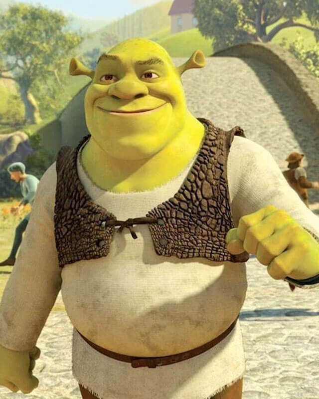 Shrek Brown Vest