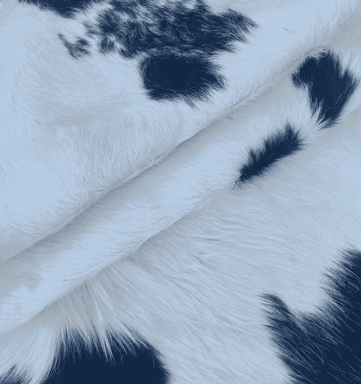 Black & White Hair-On Cowhide Leather Hide, showing whole hide laid flat for floor rug