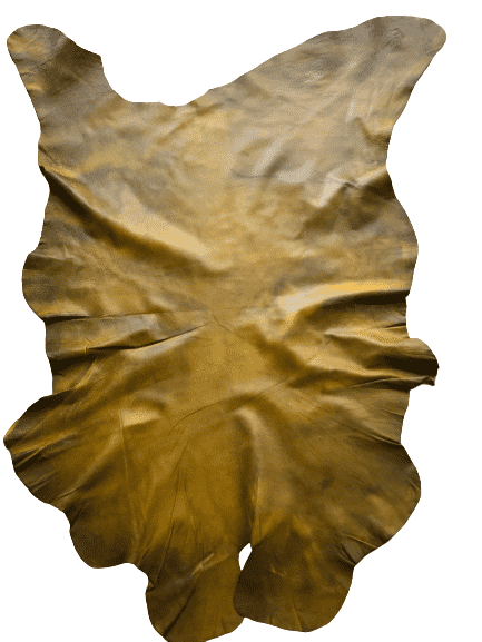 Yellow Distressed Crazy Horse Sheepskin Leather Hide, showing natural patina laid flat